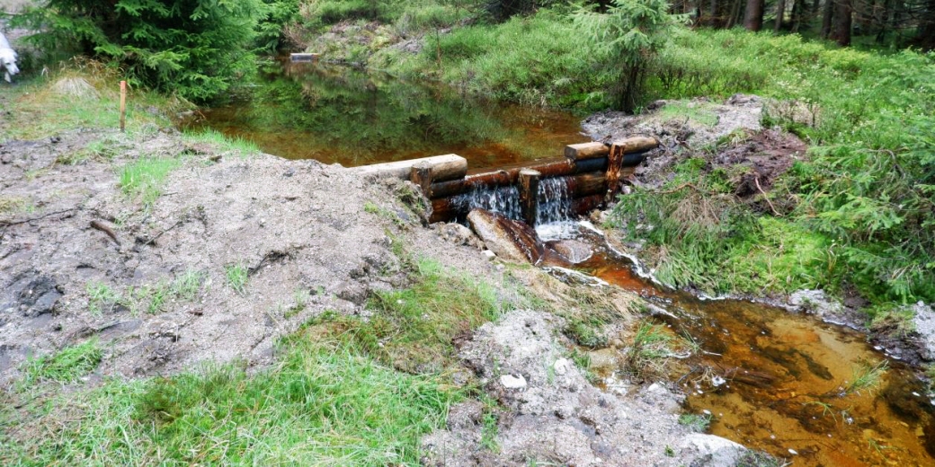 Revitalizace pramenné části Černého potoka  ​