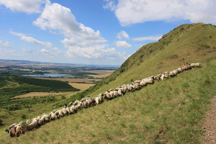 Pečujeme o přírodu a krajinu