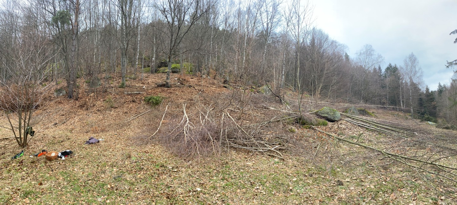 vyrez drevin pod pulcinskymi skalami