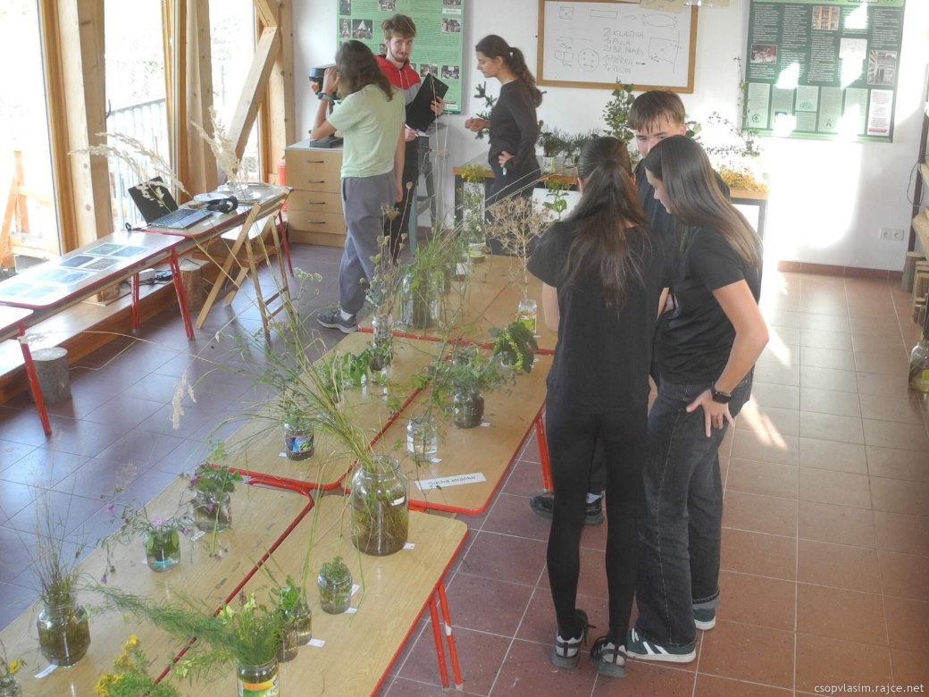 Studenti při botanické poznávačce.
