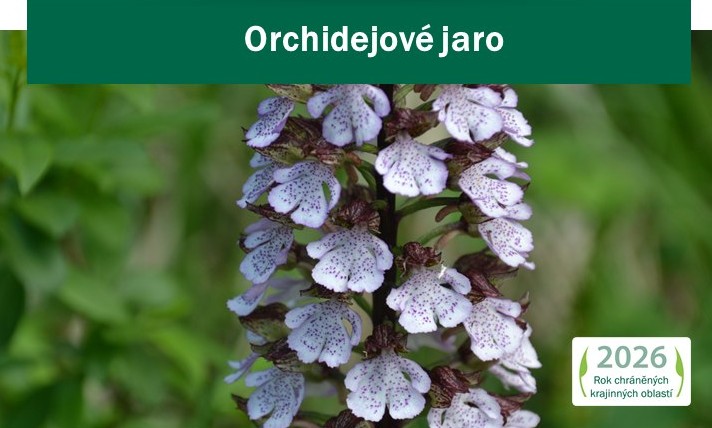 Orhidejové jaro