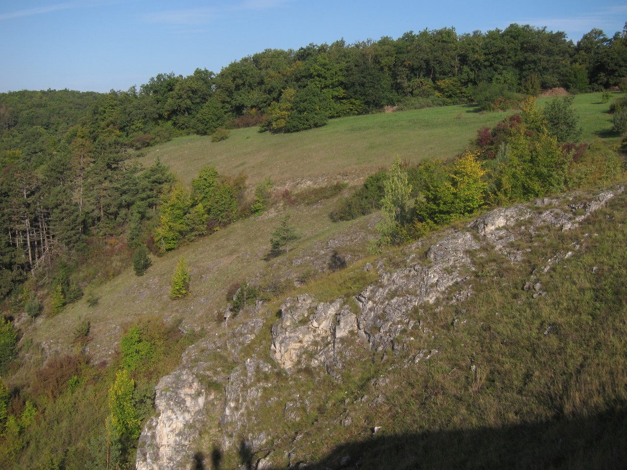 Členitý lesní a skalnatý komplex.